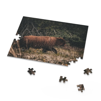 Cinnamon Bear Puzzle